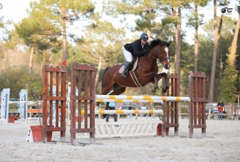 photo de Vihaillepy du many